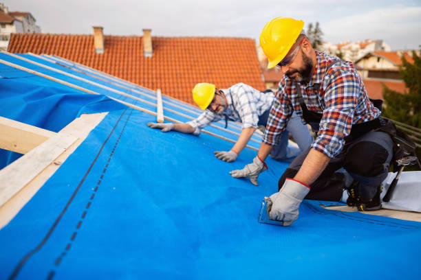 Best Storm Damage Roof Repair  in Wildwood, NJ